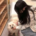 凡人双修免费版下载